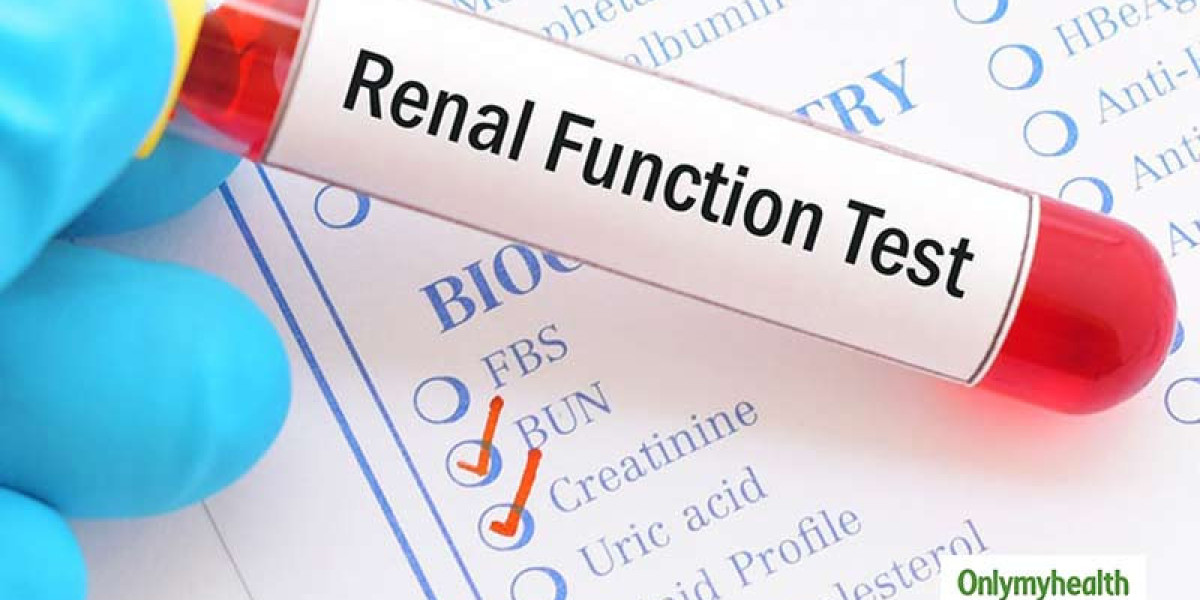 Renal Function Test Price: Understanding Kidney Function Testing